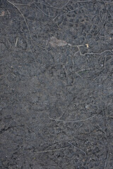 A black and gray background with a few weeds and roots