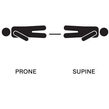 Medical Diagram Illustrating Prone and Supine Body Positions