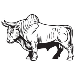 Fototapeta premium Powerful Bull Illustration in Black and White Line Art