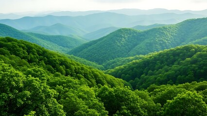 Obraz premium Serene mountain landscape with lush green hills and trees in the background viewed from a distance