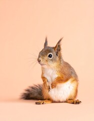 Obraz premium Eichhörnchenbaby – Pastellpfirsich