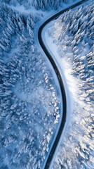 Snowy Alaskan Road Through Frosted Pine Forest Drone View, Winter Hiking and Adventure Travel in the Arctic Wilderness, Scenic Seasonal Nature and Travel Scenery