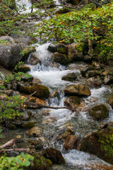 Fototapeta premium small waterfall in the forest