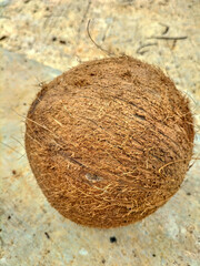 Top view of a whole ripe brown coconut with a fibrous husk on a textured gray concrete floor. Selective focus. 