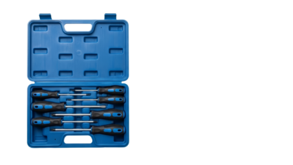 Screwdriver Set in Blue Plastic Case - Professional Tools for Repair and DIY