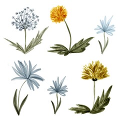 Hand-drawn botanical illustration of wildflowers in soft pastel colors. Artistic sketch style with delicate petals, stems and leaves on a white background.