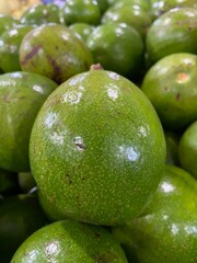 Background with lots of fresh Avocados, ideal for posters, banners, and flyers