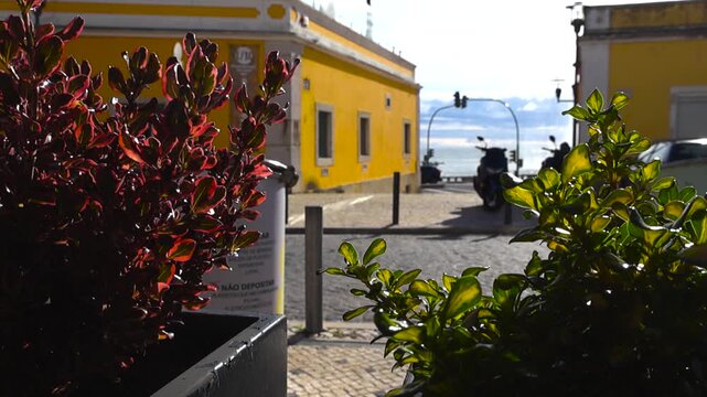 Bright sunny street scene in Paco de Arcos with colorful plants in the foreground, a yellow coastal house, and distant Tagus River view.