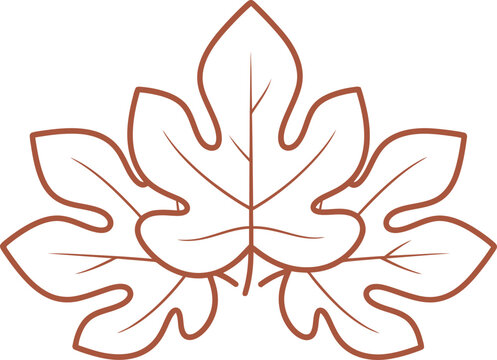 Three detailed outline fig leaves, deciduous tree foliage element for natural and organic product design. Vector illustration