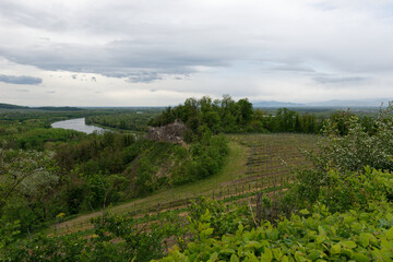 Baden-Württemberg - Wandern im Kaiserstuhl - Rheinblick