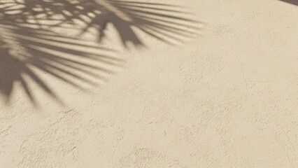 Palm tree shadow on beige textured wall background