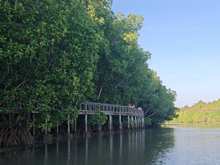 bridge over the river