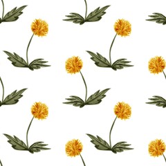 Seamless pattern of hand-drawn yellow wildflowers dandelions with green leaves on a white background. Botanical floral design in an artistic sketch style.