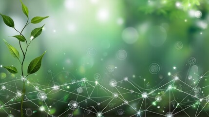 A green leafy plant is growing in a field of green grass