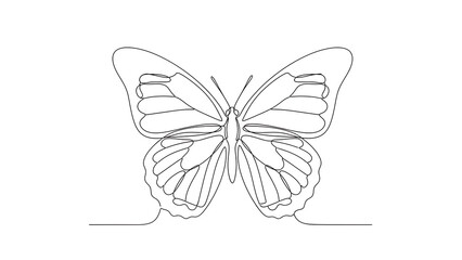 A detailed line drawing of a butterfly with intricate wing patterns