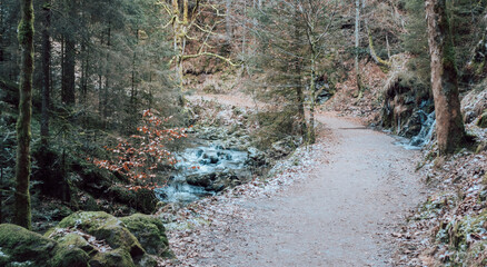 Gorgeous wild landscapes at the Ravenna Gorge in the Black Forest, Germany 