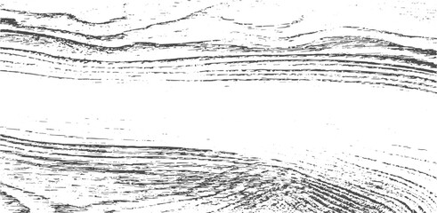 Wood grain texture vector overlay background design Abstract wooden texture overlay wood grain vector