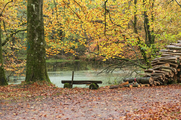 Blick auf einen kleinen See im Wald