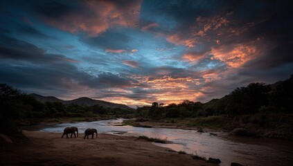 Dramatic sunset over river landscape with two elephants silhouetted by sky