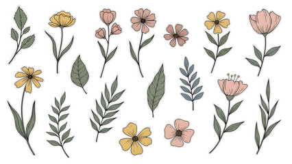 Collection of delicate hand-drawn floral elements and botanical illustrations with charming colors