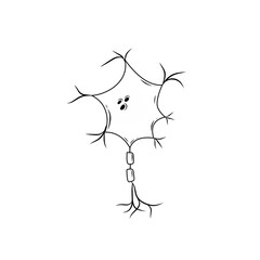 hand drawn cell neurons on white background