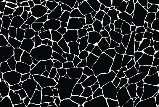 Mosaic cracked stone pattern texture abstract black white lines grout background rough surface