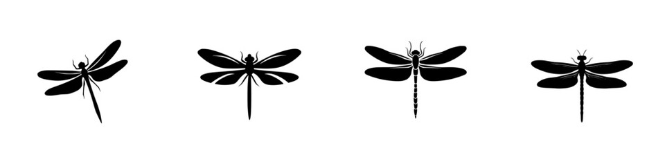 Obraz premium Dragonflies in different positions showing wings depicted in a