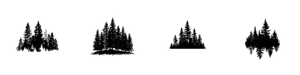 Obraz premium Various groups of dark trees with different shapes and sizes in a