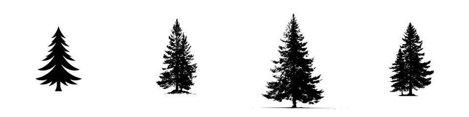 Fototapeta premium Different types of evergreen trees in silhouette against a white