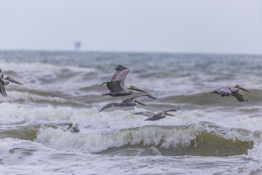 The Gulf Coast of Texas, USA