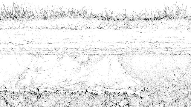 Paved road with cracked asphalt surface and grassy edge on sunny day worn texture