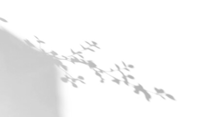 branch of a tree with leaves shadow,shadow overlay effect of natural tree leaves shadow and window shadow over on white wall,abstract summer sunlight shadow on transparent background,branch shadow © ZMC-Studio