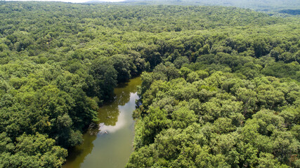 Aerial view of river flowing through a vast, lush green forest. Kamchia River in Bulgaria