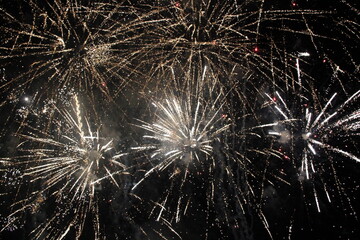 fireworks in the night sky