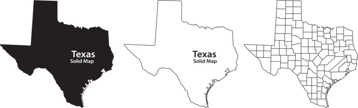 Detailed texas state map in three styles for geographic and demographic analysis with geography and demographics and illustration and vector