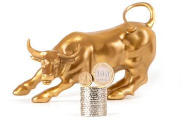 A symbol of optimism on the stock exchange, as well as wealth and greed - a golden bull (calf) and coins of 1 and 100 Kazakhstani tenge