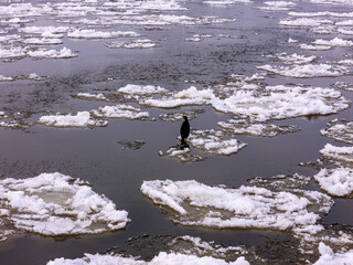 Warszawa, zimowa panorama miasta © hunter76