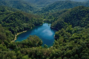 Obraz premium Aerial view of a blue lake surrounded by dense green forest. Concept Blue Lake, Dense Green Forest, Aerial View, Drone Photography, Serene Landscape
