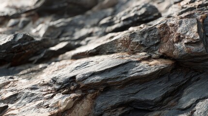 Close-up of rugged rock surface with natural textures and earthy tones.