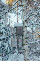 Cozy Bird Shelter, Gentle Morning Light Highlights Rustic Bird Dwelling Against Quiet Cityscape Backdrop