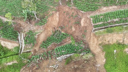 Aerial view of massive landslide and soil erosion destroying corn crops on agricultural terraces