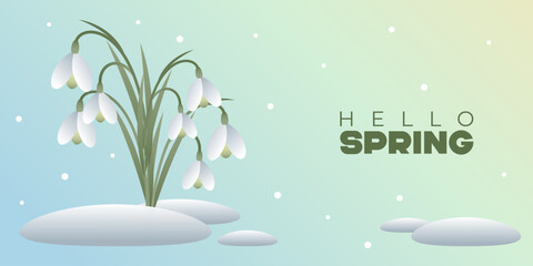 The rectangular banner with snowdrops