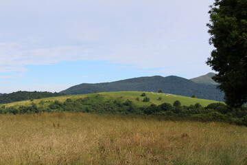 Fototapeta premium Rural scenery after leaving Espinal along the Camino de Santiago route in Navarre, July 2024.