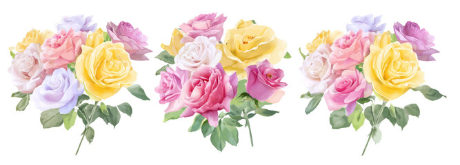 Colorful rose bouquet on transparent background floral arrangement natural beauty artistic display