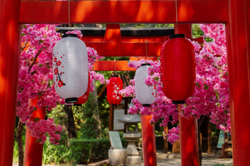 Backgrounds, Celebration, Color Image, Craft, Cultures