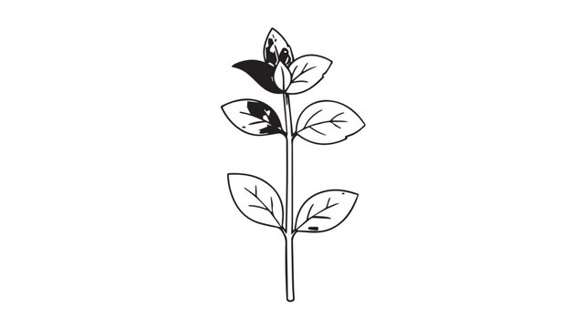 Minimalist black and white botanical illustration of a young plant with leaves on a slender stem.