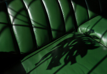 green leather sofa. A beautiful light on a green couch with a monstera shadow on it