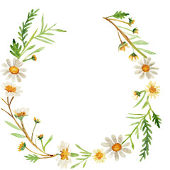 Fototapeta premium Watercolor chamomile floral wreath with wildflowers and green leaves isolated