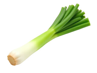 Fototapeta premium Fresh green onions arranged on a clean white background, great for food and still life photography