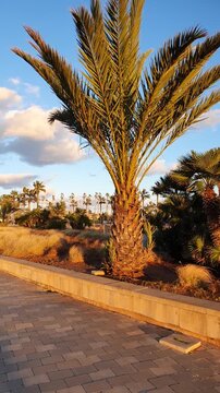 majestic beauty of moroccan natue with beautiful blue sky in winter season